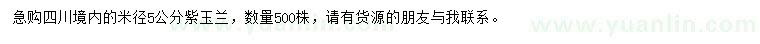 求購米徑5公分紫玉蘭