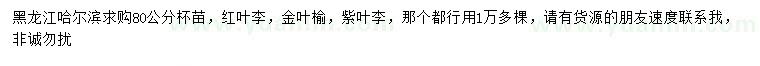 求購(gòu)紅葉李、金葉榆、紫葉李