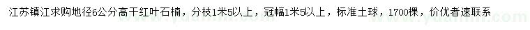 求購(gòu)地徑6公分紅葉石楠