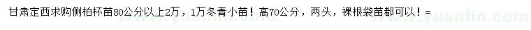 求購80公分以上側(cè)柏