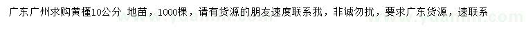 求購10公分黃槿