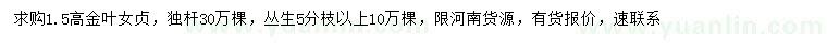 求購高1.5米金葉女貞