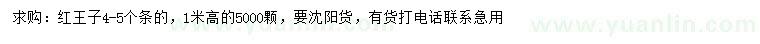 求購高1米紅王子
