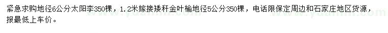 求購地徑6公分太陽李、5公分金葉榆
