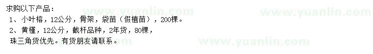 求購12公分小葉榕、黃槿
