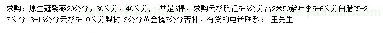 求購紫薇、云杉、紫葉李等