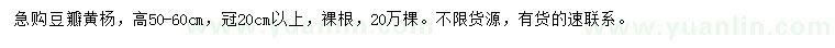 求購(gòu)高50-60公分豆瓣黃楊