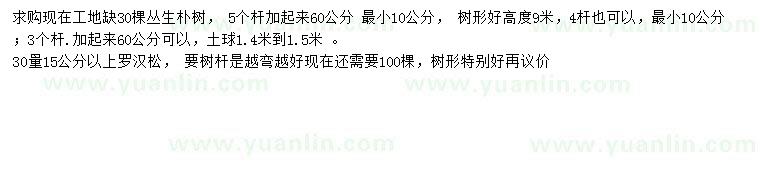 求購(gòu)高9米叢生樸樹(shù)、30量15公分以上羅漢松