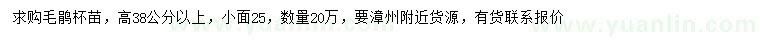 求購高38公分以上毛鵑