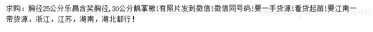 求購胸徑25公分樂昌含笑、30公分鵝掌楸