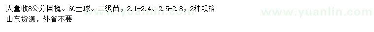 求購8公分國槐