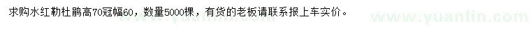 求購(gòu)冠幅60公分水紅勒杜鵑