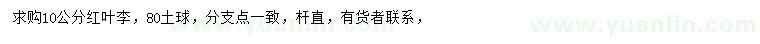 求購10公分紅葉李