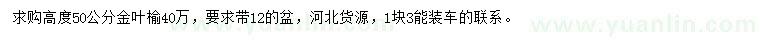求購高度50公分金葉榆