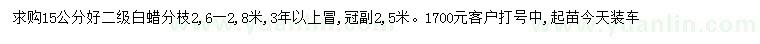 求購15公分白蠟
