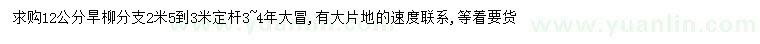 求購12公分旱柳