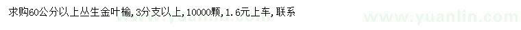 求購60公分以上叢生金葉榆