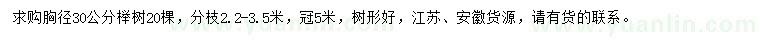 求購胸徑30公分櫸樹