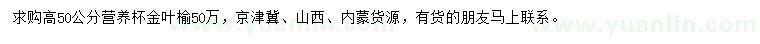 求購高50公分金葉榆