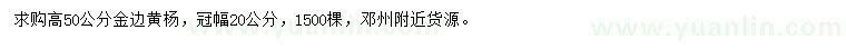 求購高50公分金邊黃楊