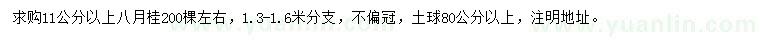 求購(gòu)11公分以上八月桂