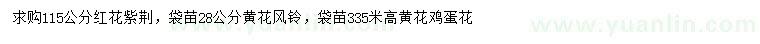 求購紅花紫荊、黃花風(fēng)鈴、 黃花雞蛋花