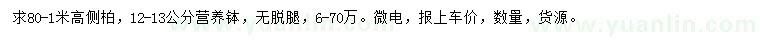 求購高80-1米側(cè)柏