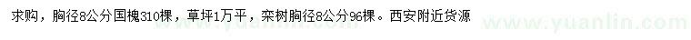 求購國槐、草坪、欒樹