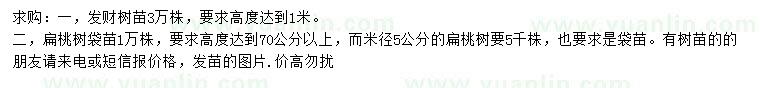 求購發(fā)財樹、扁桃樹苗