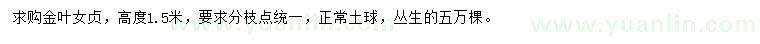 求購高1.5米金葉女貞