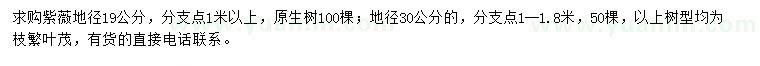 求購地徑19、30公分紫薇