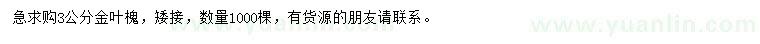 求購3公分金葉槐