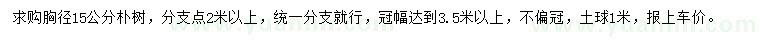 求購胸徑15公分樸樹