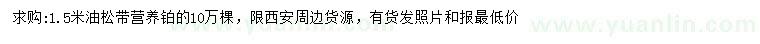 求購(gòu)1.5米油松