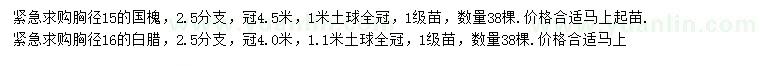 求購胸徑15公分國槐、16公分白蠟