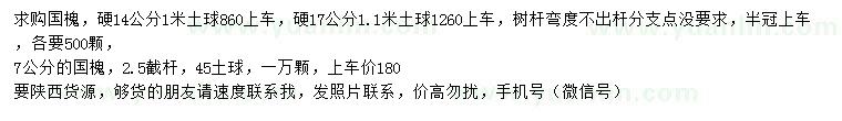 求購7、14、17公分國槐