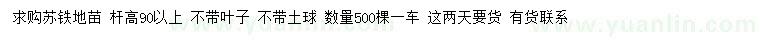 求購高90公分以上蘇鐵