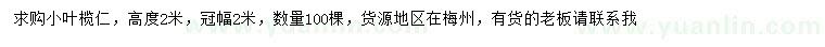 求購高2米小葉欖仁