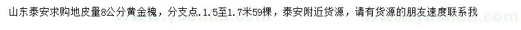 求購地徑8公分黃金槐