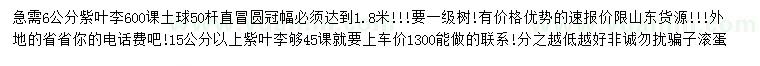 求購(gòu)6、15公分以上紫葉李