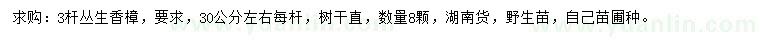 求購3桿叢生香樟