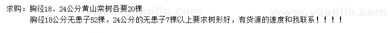 求購胸徑18、24公分黃山欒樹、無患子