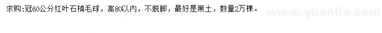求購(gòu)冠幅60公分紅葉石楠毛球