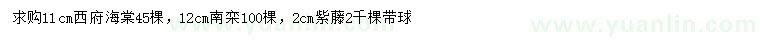 求購西府海棠、南欒、紫藤