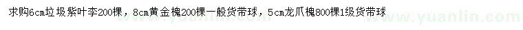 求購紫葉李、黃金槐、龍爪槐
