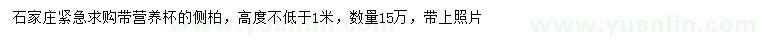 求購高1米以上側(cè)柏