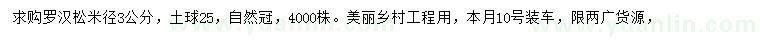 求購米徑3公分羅漢松