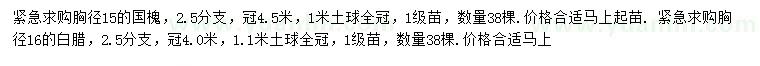 求購胸徑15公分國槐、16公分白蠟