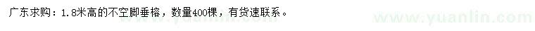 求購高1.8米垂榕