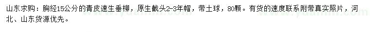 求購胸徑15公分青皮速生垂柳